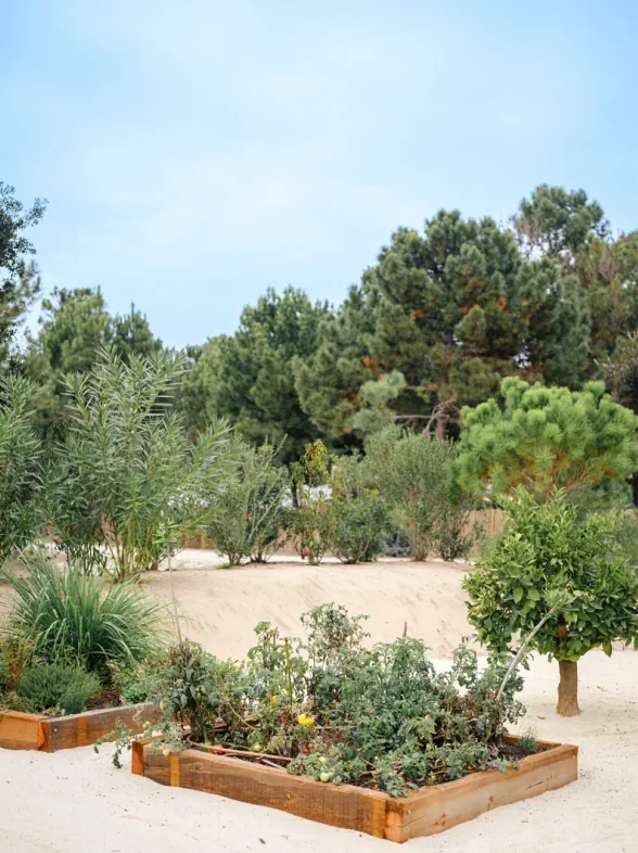 Comporta Bliss