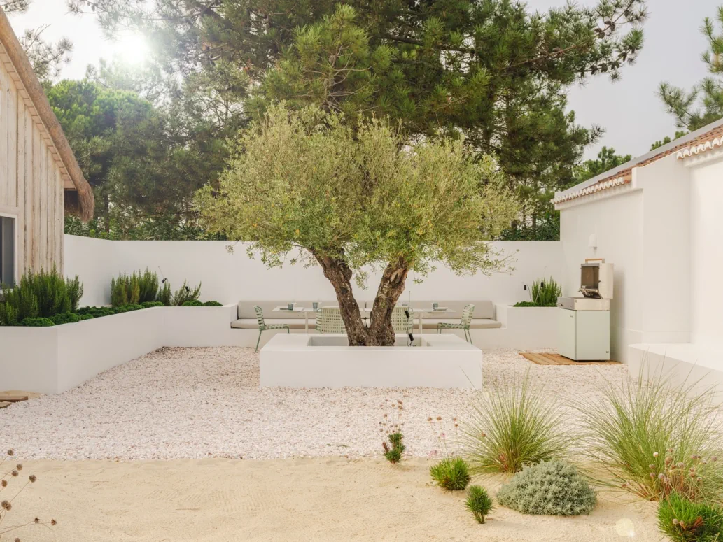 Comporta Bliss
