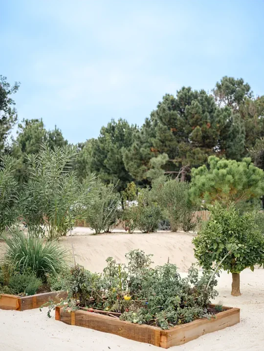 Comporta Bliss Holidays
